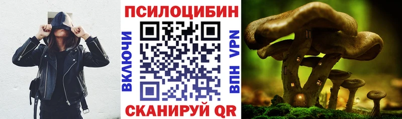 наркотики  Белая Холуница  Псилоцибиновые грибы ЛСД 